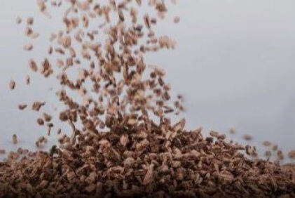 Korkové granule