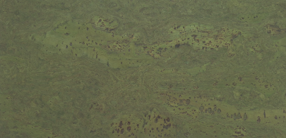 Nástěnný korek Exclusive Green 3MM