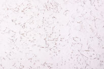 Stena Korok EXCLUSIVE SNOW - 2